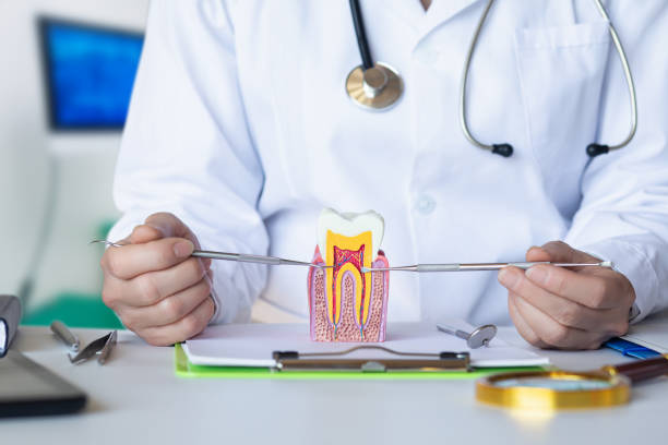 Best Emergency Dental Care for Trauma or Injury in Lake Andes, SD